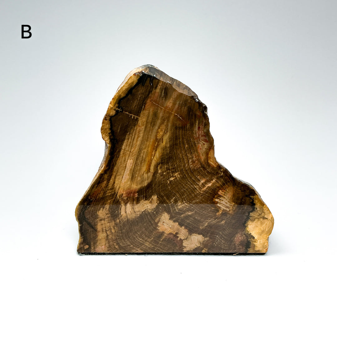 Petrified Wood Stand Up-Rocks and Gems Canada