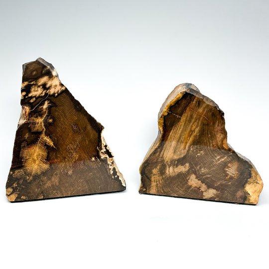 Petrified Wood Stand Up-Rocks and Gems Canada