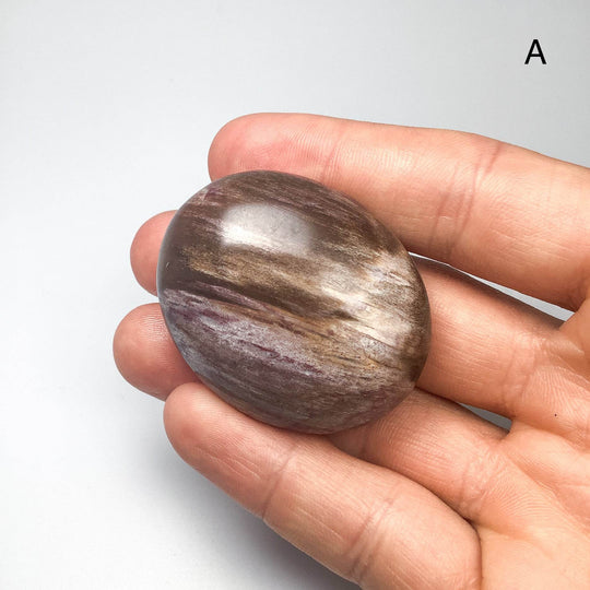 Petrified Wood Tumble Medium-Rocks and Gems Canada