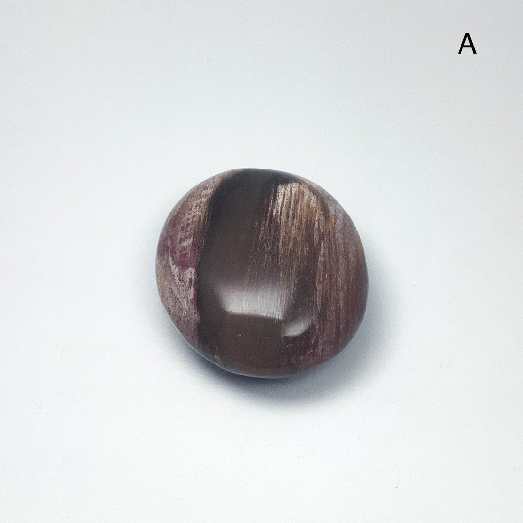 Petrified Wood Tumble Medium-Rocks and Gems Canada