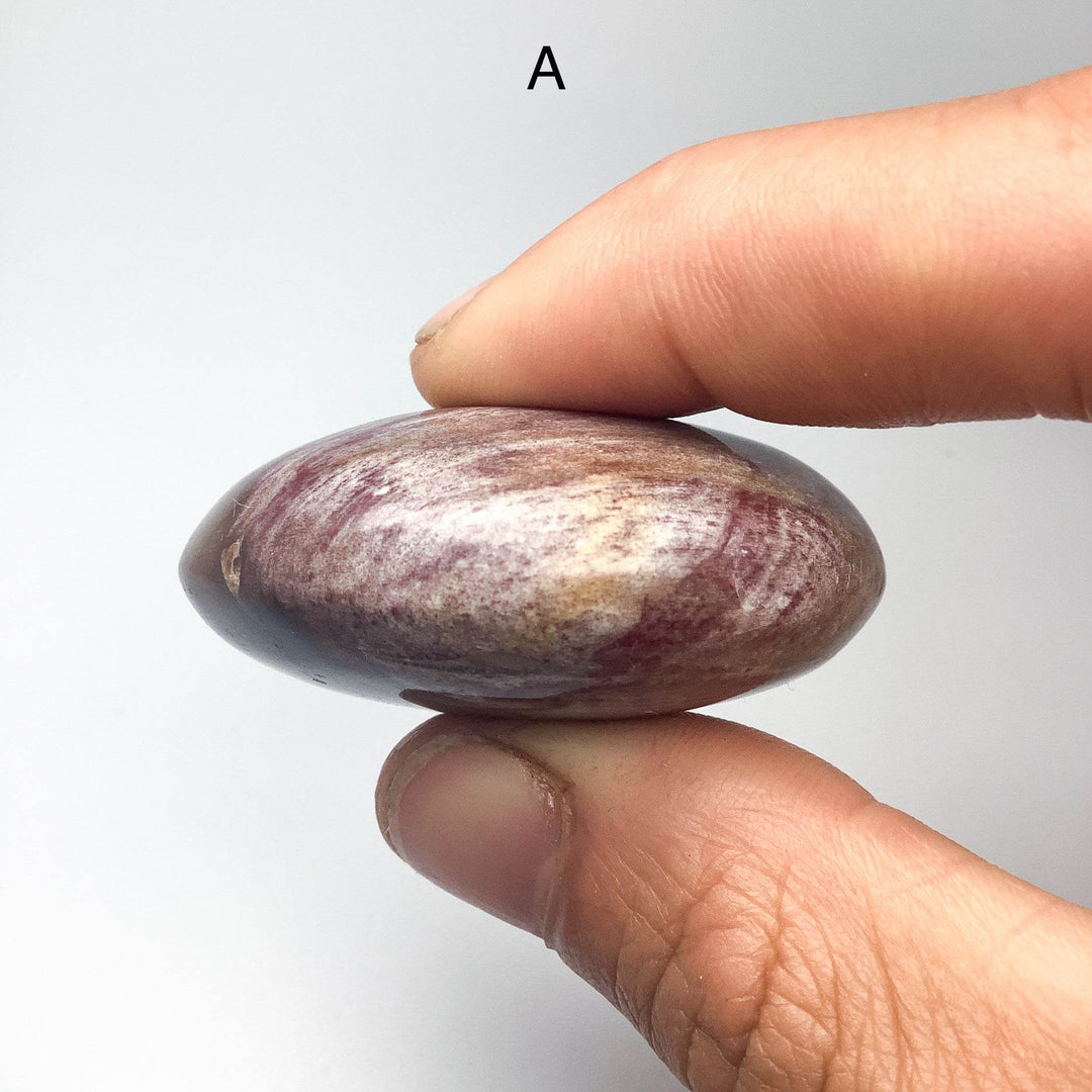Petrified Wood Tumble Medium-Rocks and Gems Canada