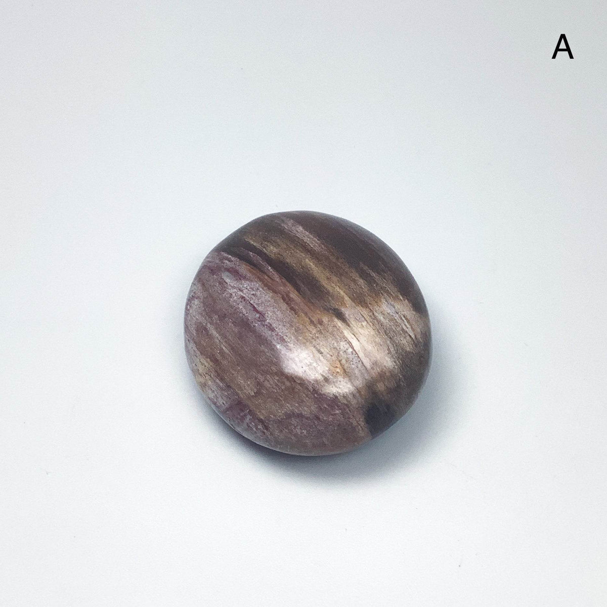 Petrified Wood Tumble Medium-Rocks and Gems Canada