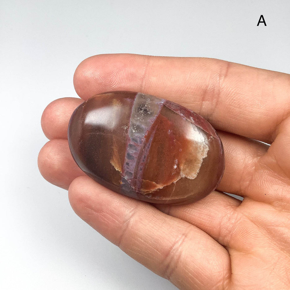 Petrified Wood Tumble Small-Rocks and Gems Canada