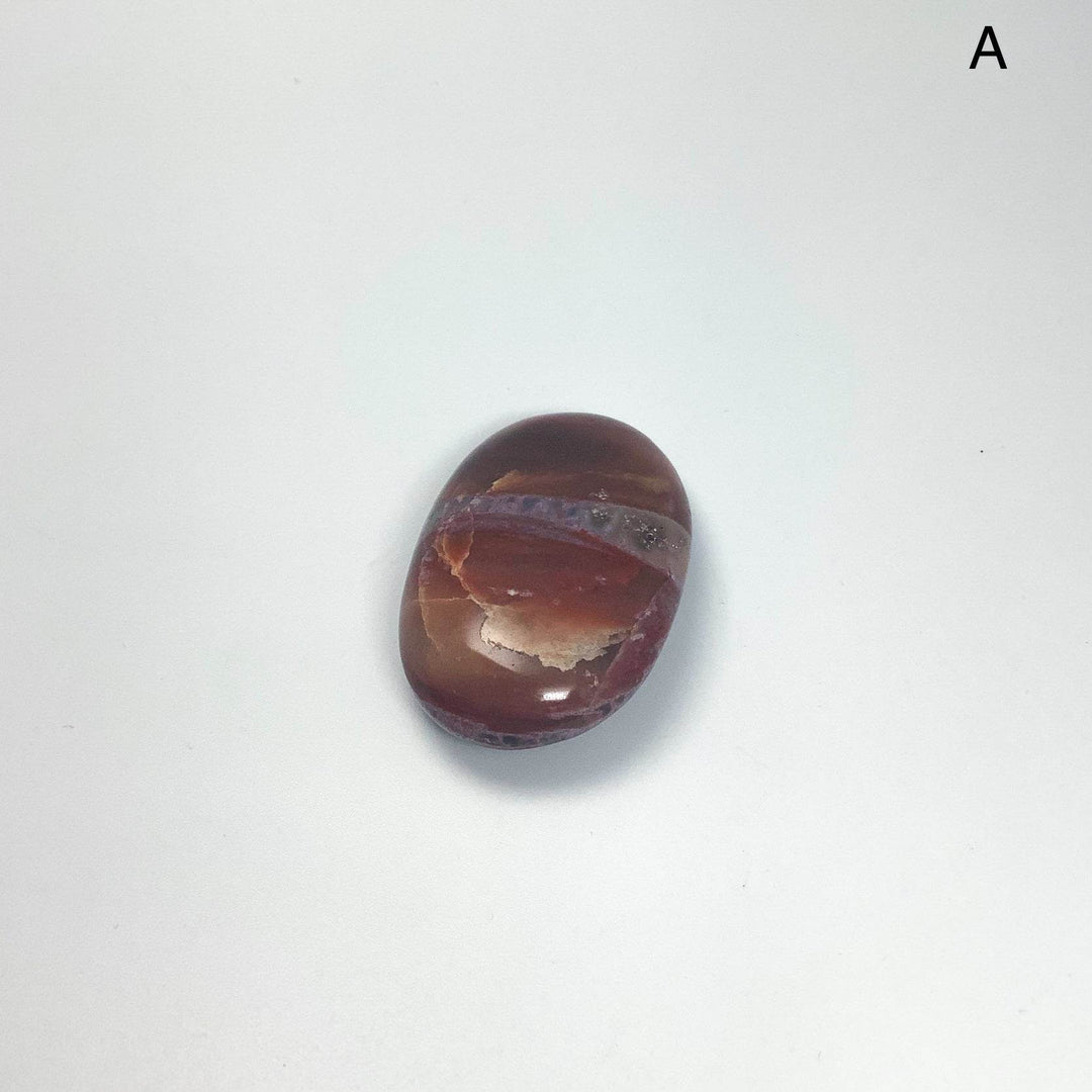 Petrified Wood Tumble Small-Rocks and Gems Canada