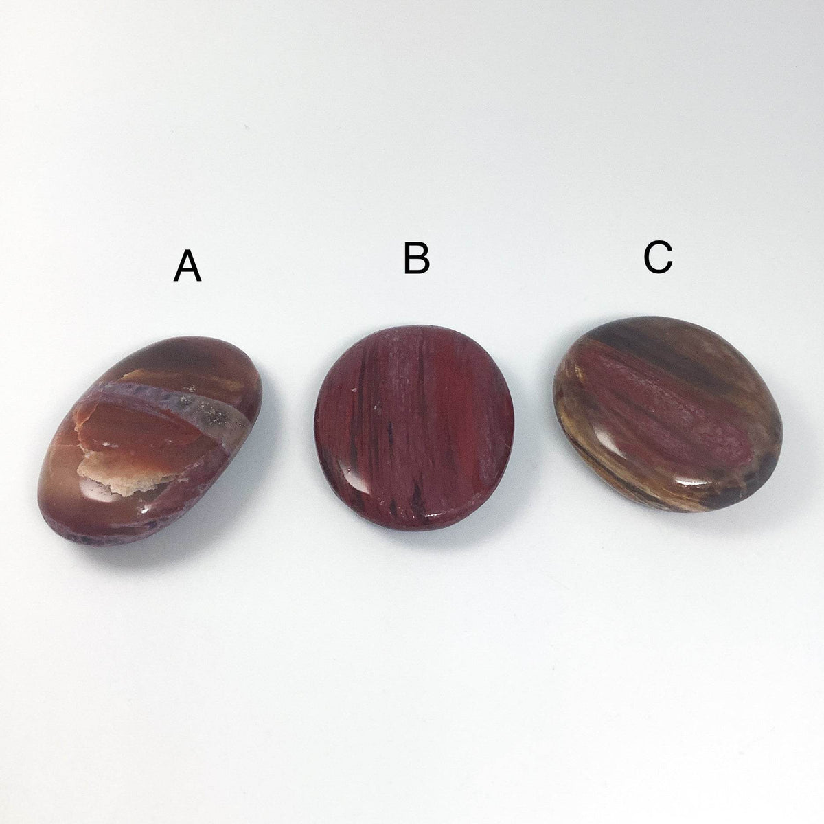 Petrified Wood Tumble Small-Rocks and Gems Canada