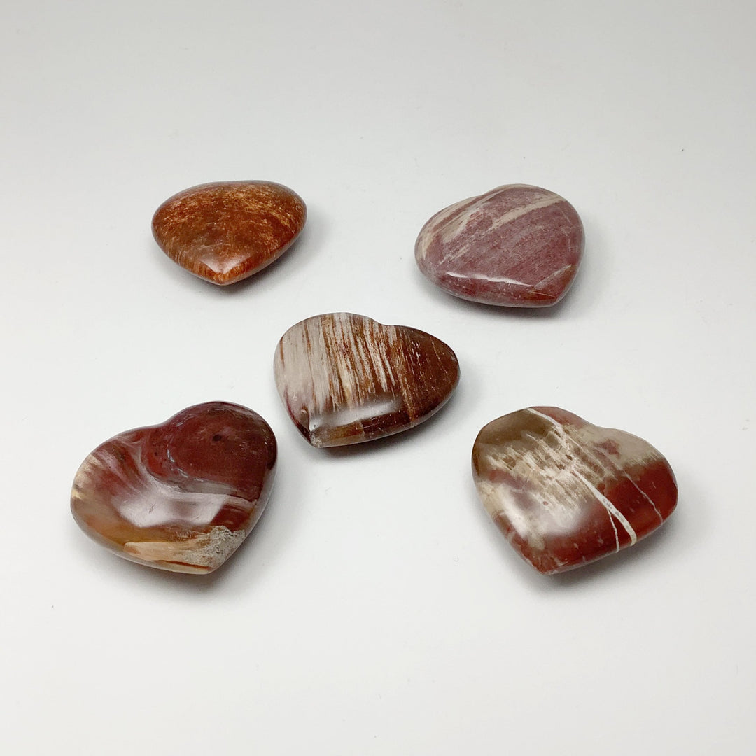 Petrified Wood Heart - Rocks and Gems Canada