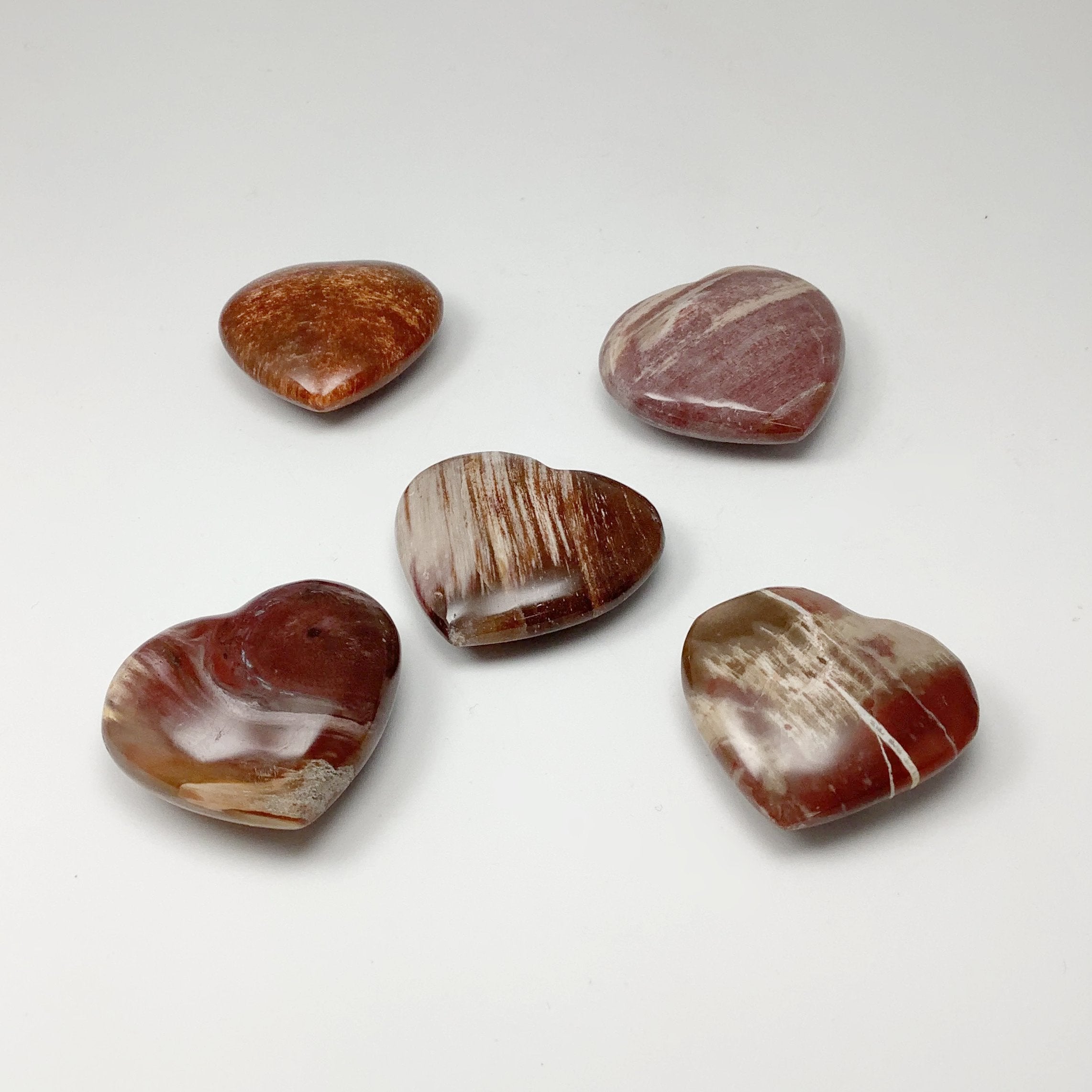 Petrified Wood Heart - Rocks and Gems Canada