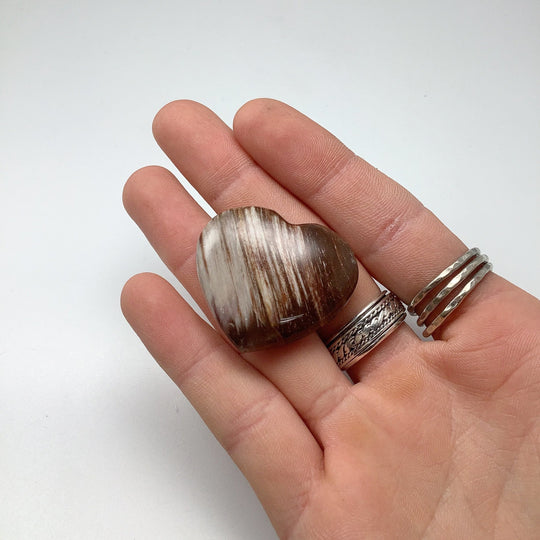 Petrified Wood Heart - Rocks and Gems Canada