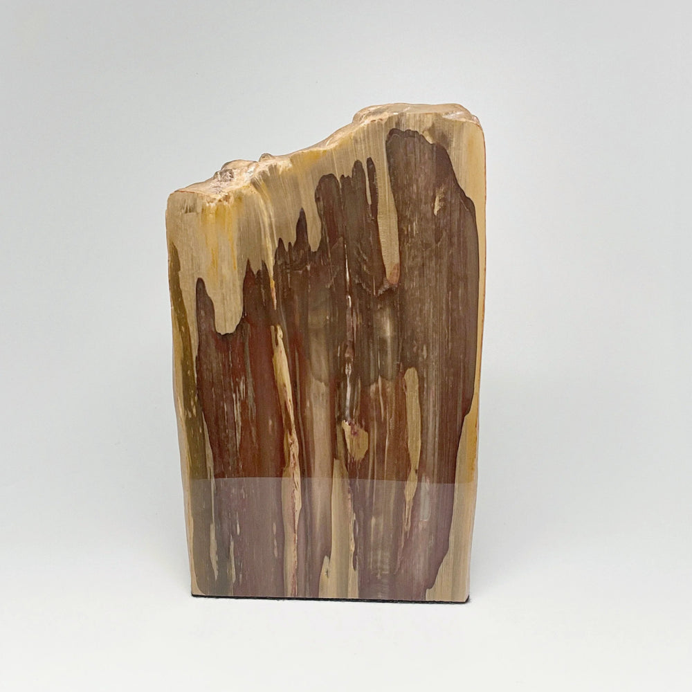 Petrified Wood Stand Up - Rocks and Gems Canada