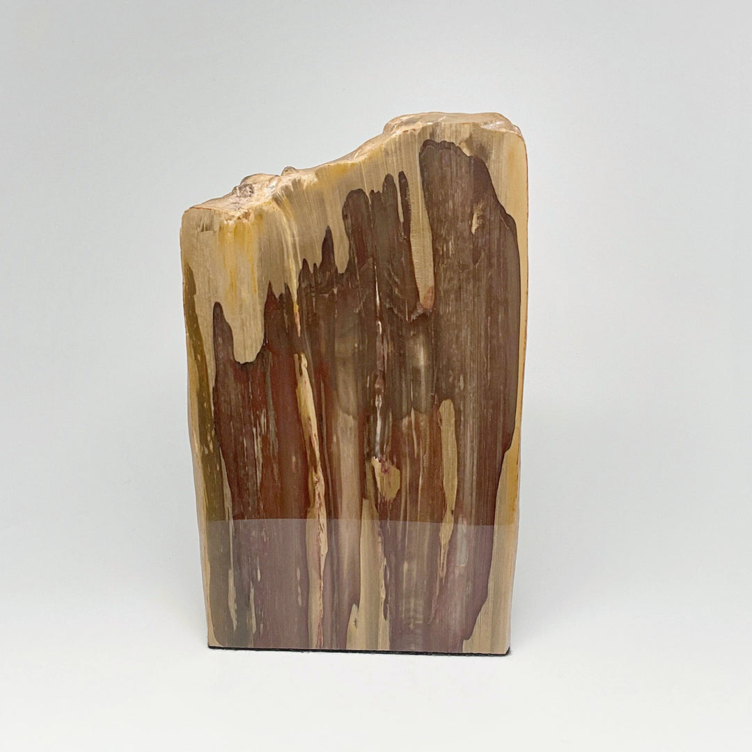 Petrified Wood Stand Up - Rocks and Gems Canada