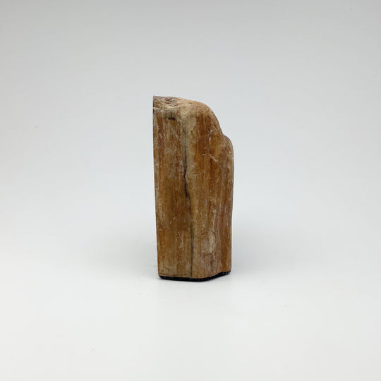 Petrified Wood Stand Up