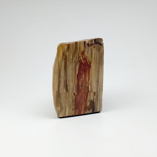 Petrified Wood Stand Up