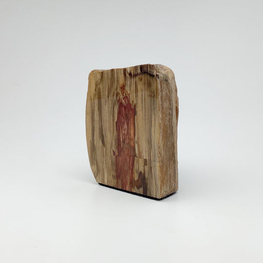 Petrified Wood Stand Up