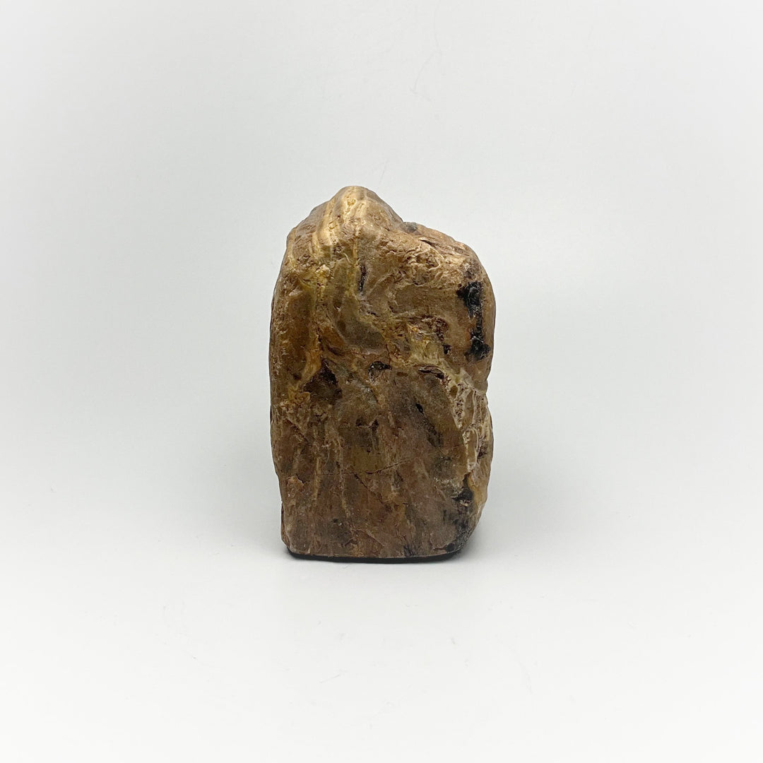 Petrified Wood Stand Up - Rocks and Gems Canada