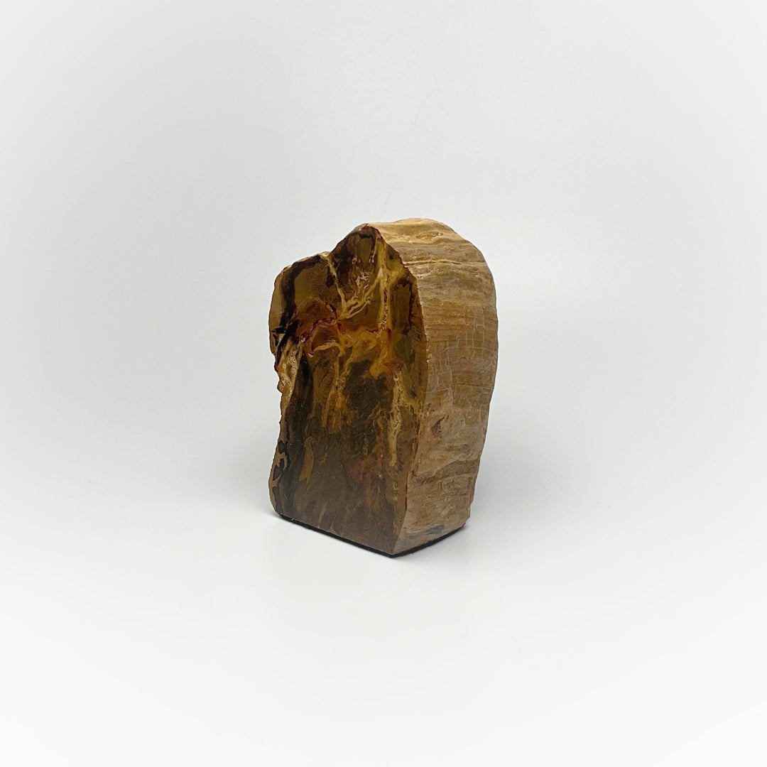 Petrified Wood Stand Up - Rocks and Gems Canada