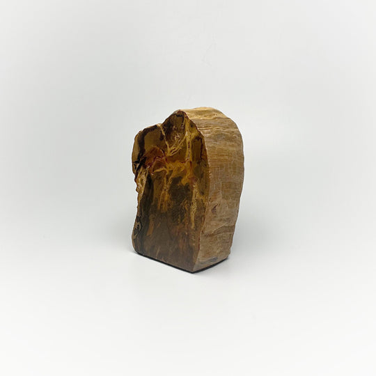 Petrified Wood Stand Up - Rocks and Gems Canada