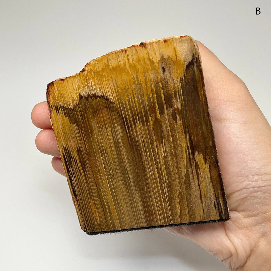 Petrified Wood Stand Up - Rocks and Gems Canada
