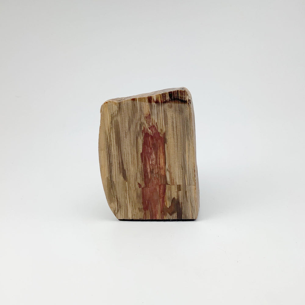 Petrified Wood Stand Up