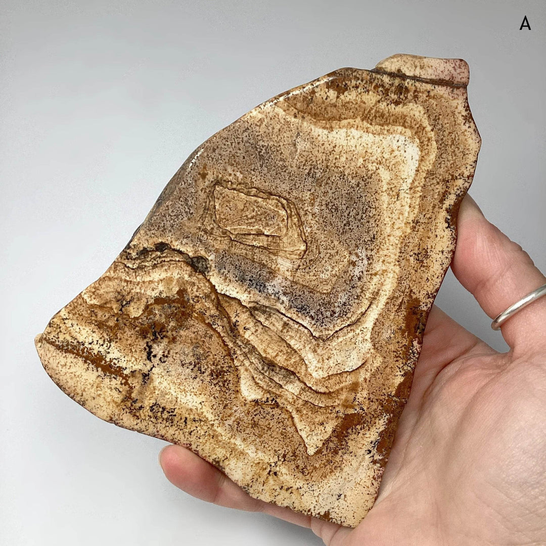 Picture Jasper Slice-Rocks and Gems Canada