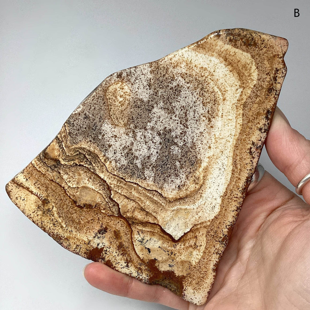 Picture Jasper Slice-Rocks and Gems Canada