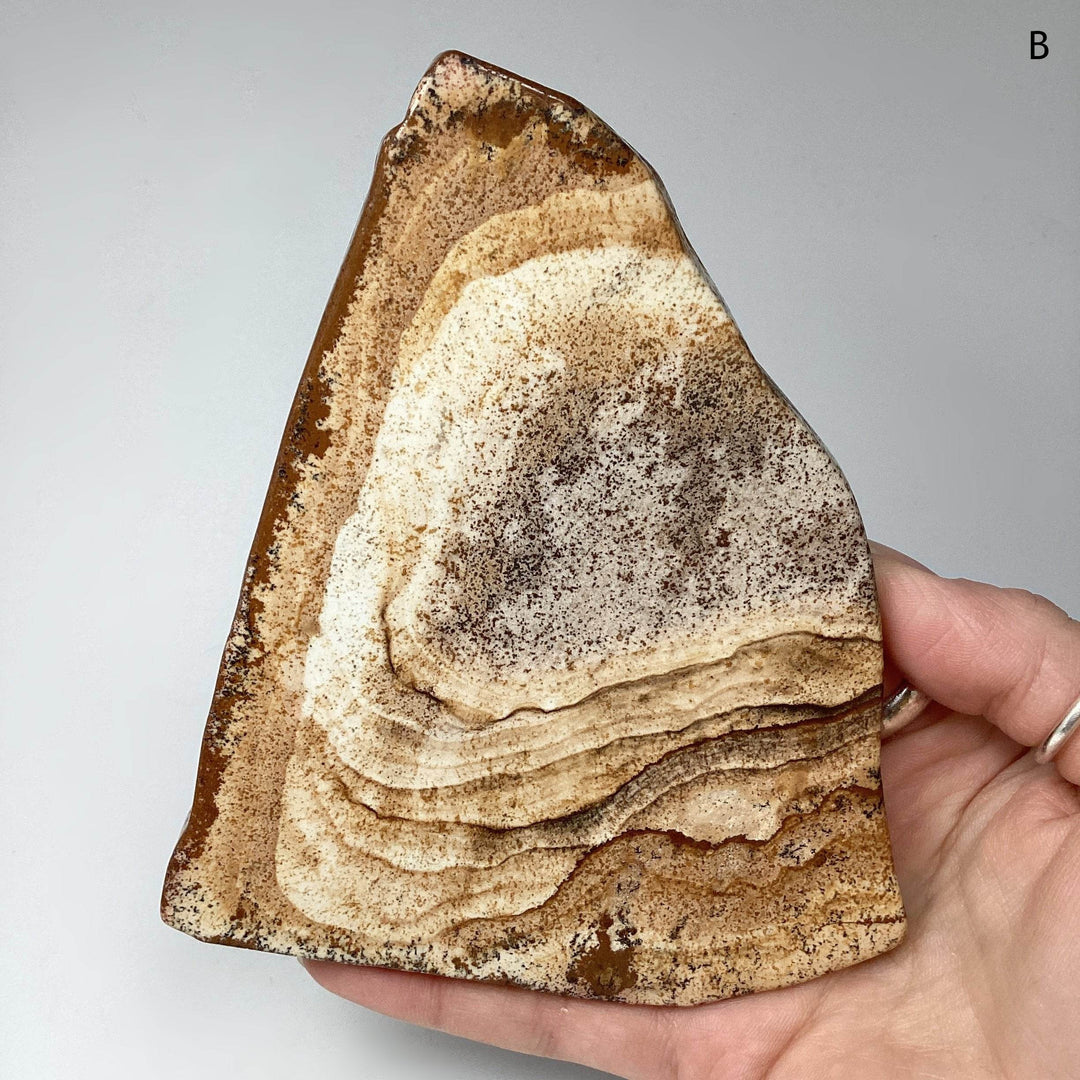 Picture Jasper Slice-Rocks and Gems Canada