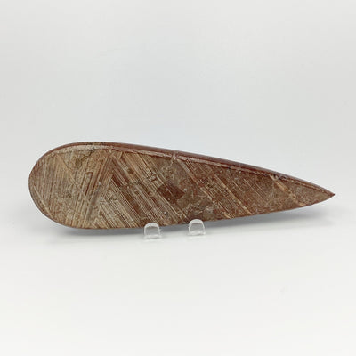 Polished Orthoceras Fossil