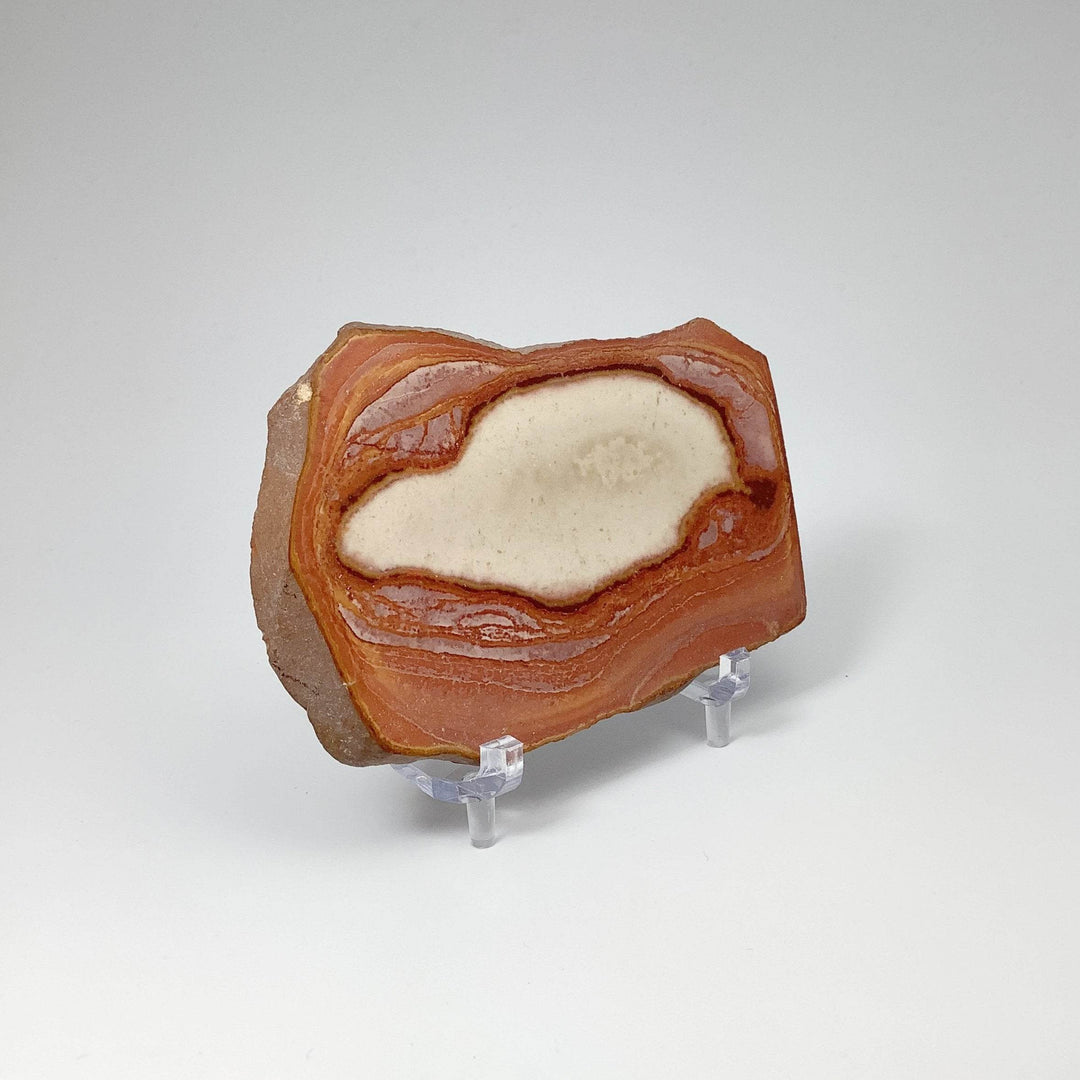 Polychrome Jasper Slice-Rocks and Gems Canada