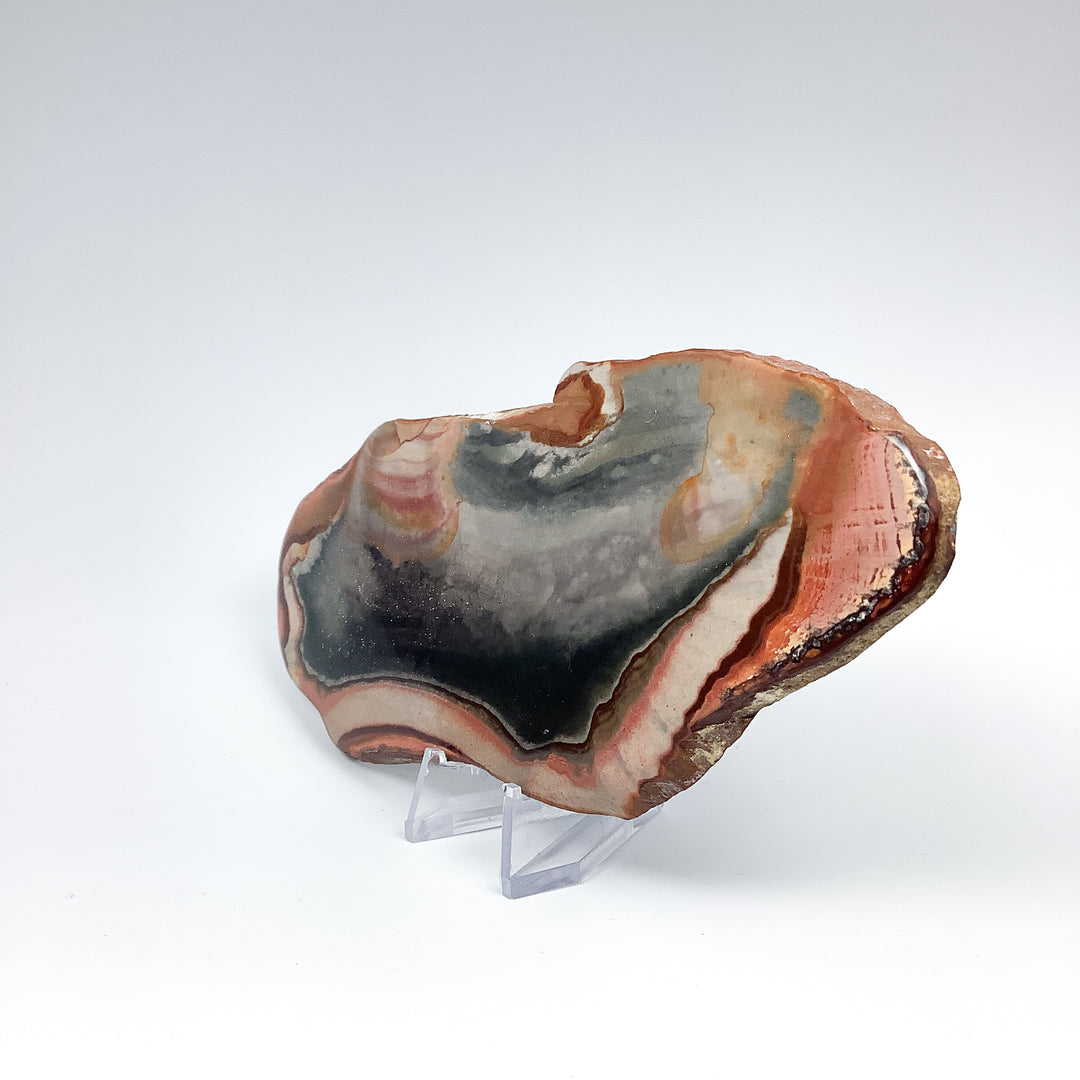 Polychrome Jasper Slice-Rocks and Gems Canada