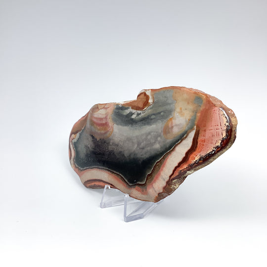 Polychrome Jasper Slice-Rocks and Gems Canada