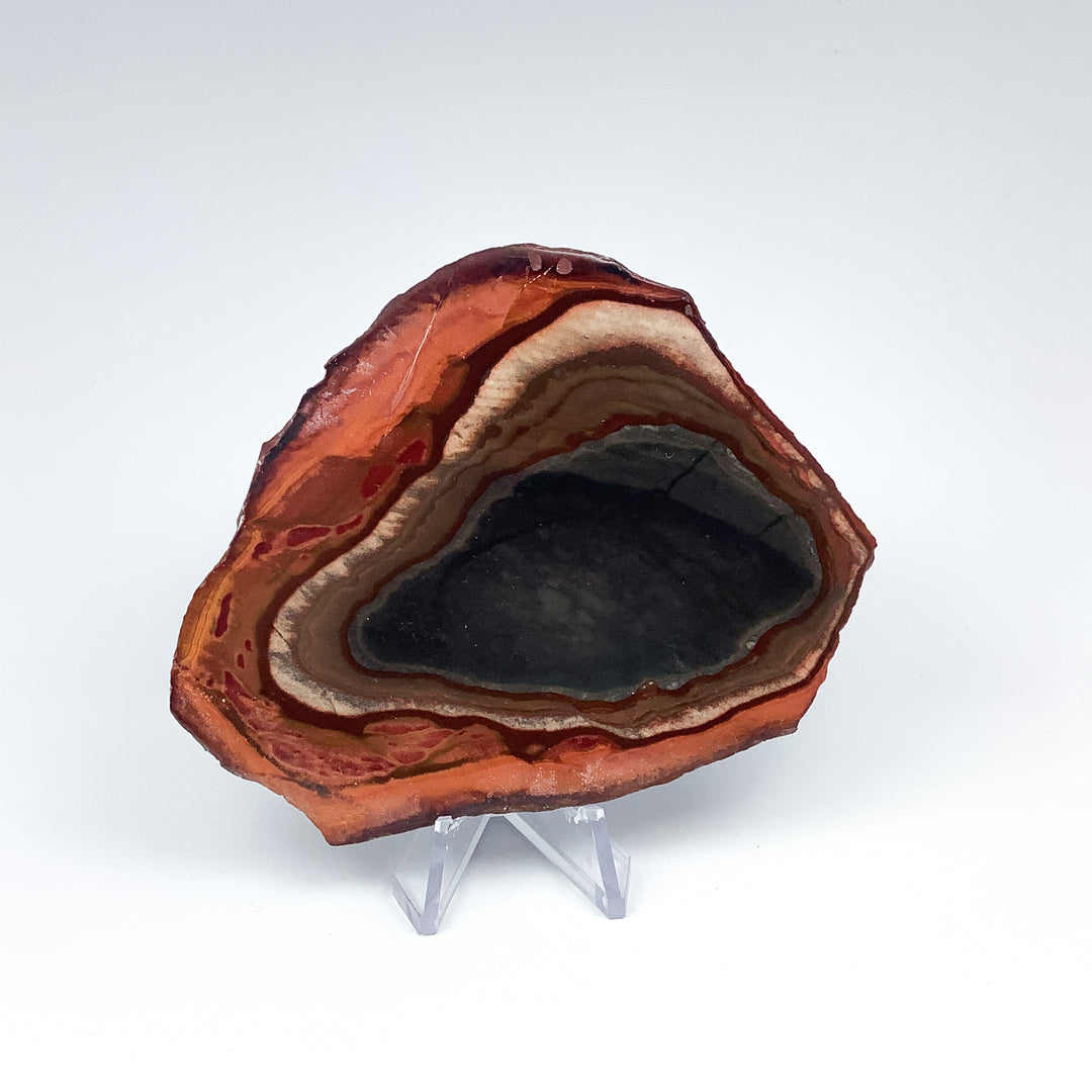 Polychrome Jasper Slice-Rocks and Gems Canada