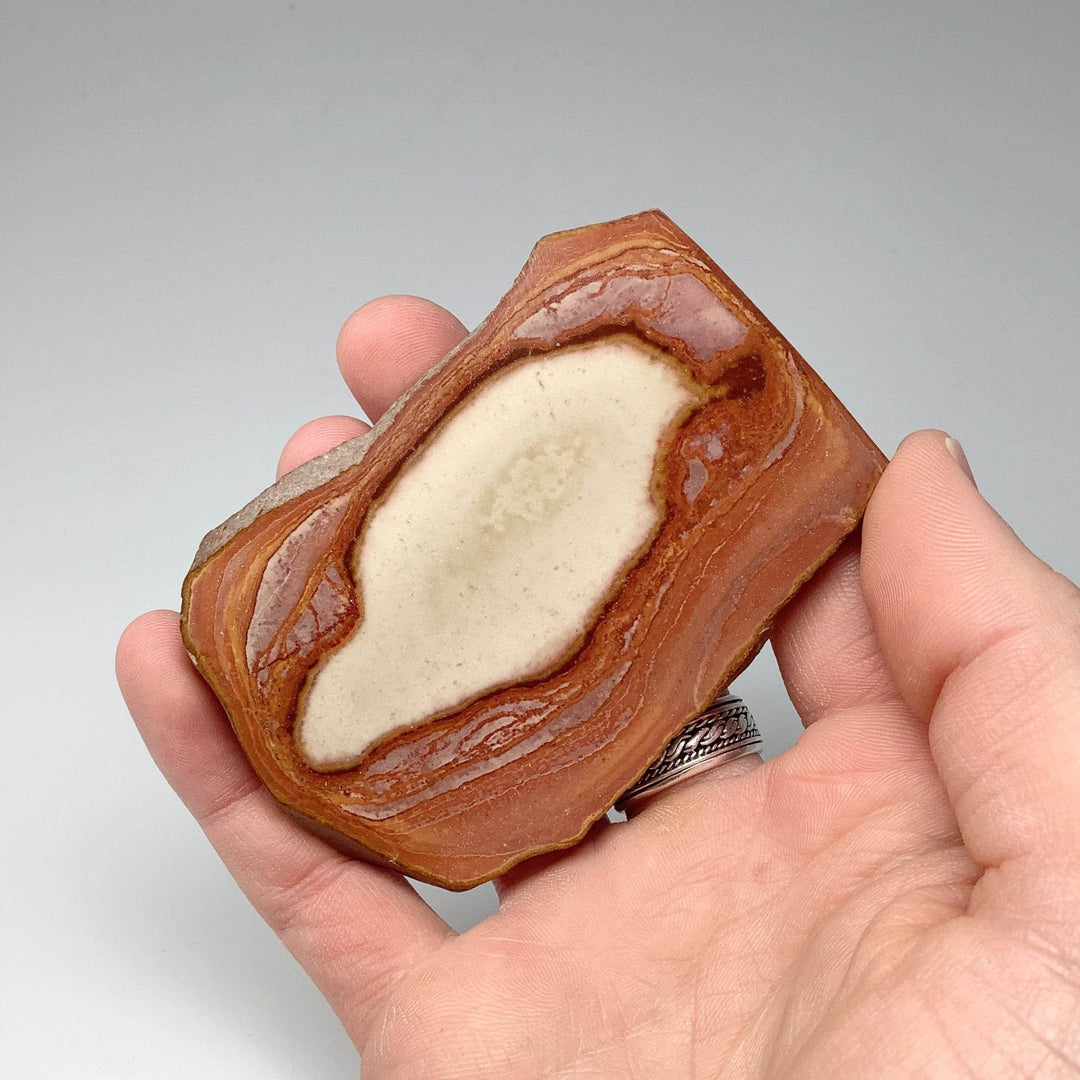 Polychrome Jasper Slice-Rocks and Gems Canada