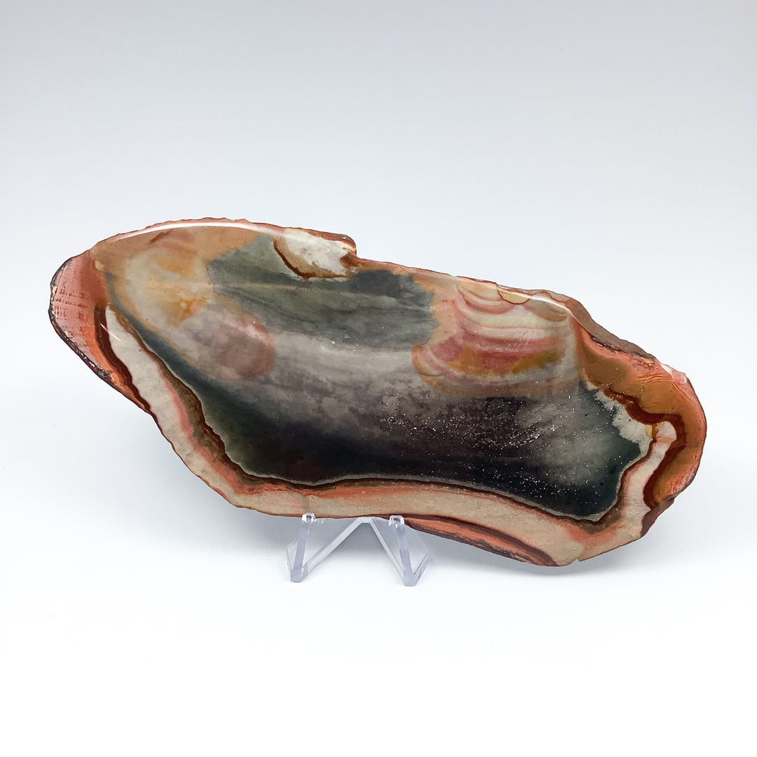 Polychrome Jasper Slice-Rocks and Gems Canada
