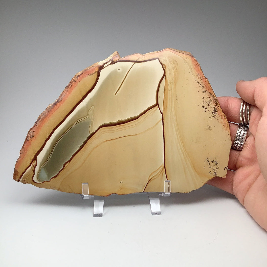 Polychrome Jasper Slice - Rocks and Gems Canada