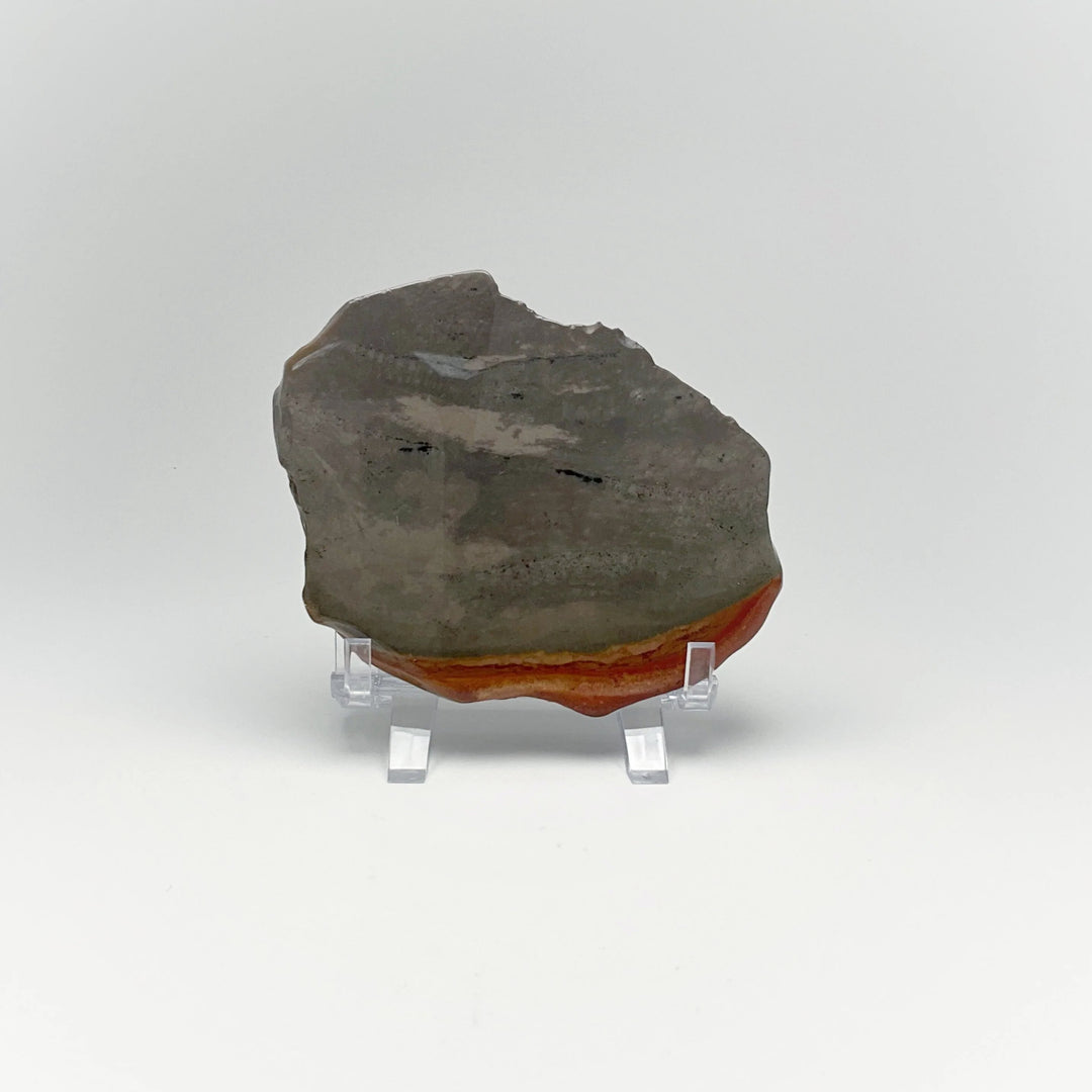 Polychrome Jasper Slice - Rocks and Gems Canada