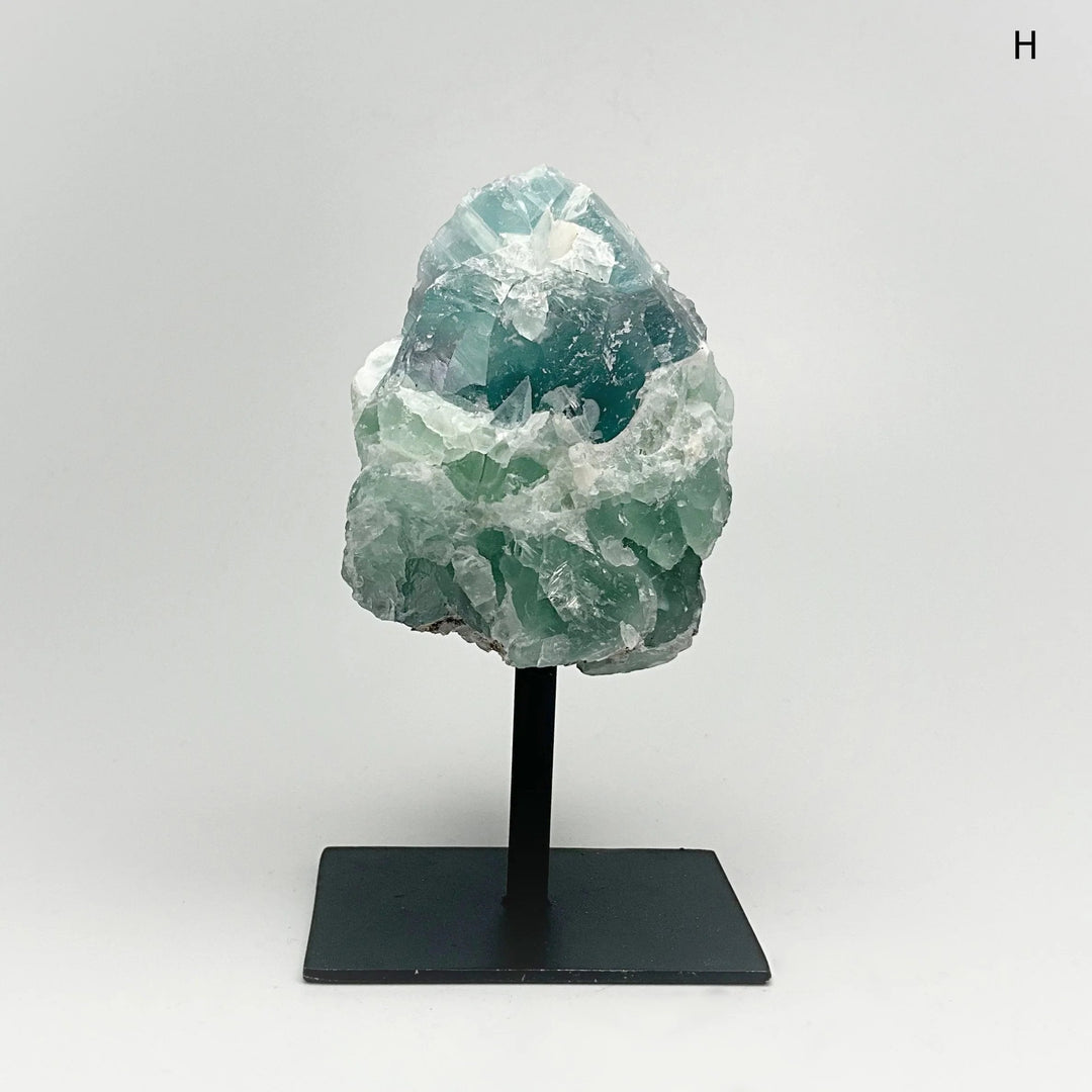 Rough Fluorite on Metal Display Stand - Rocks and Gems Canada