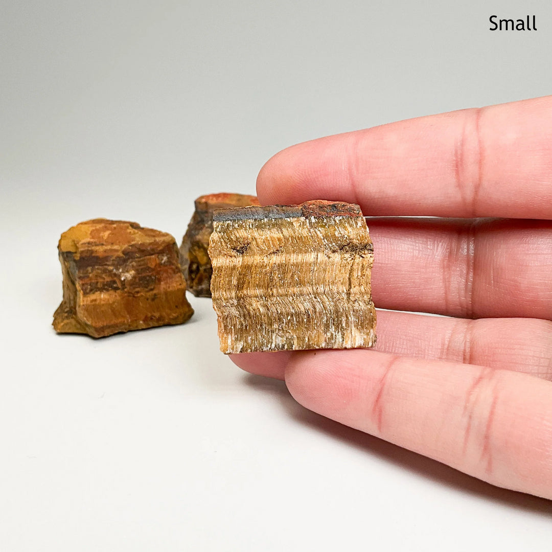 Rough Tiger Eye Chunk - Rocks and Gems Canada