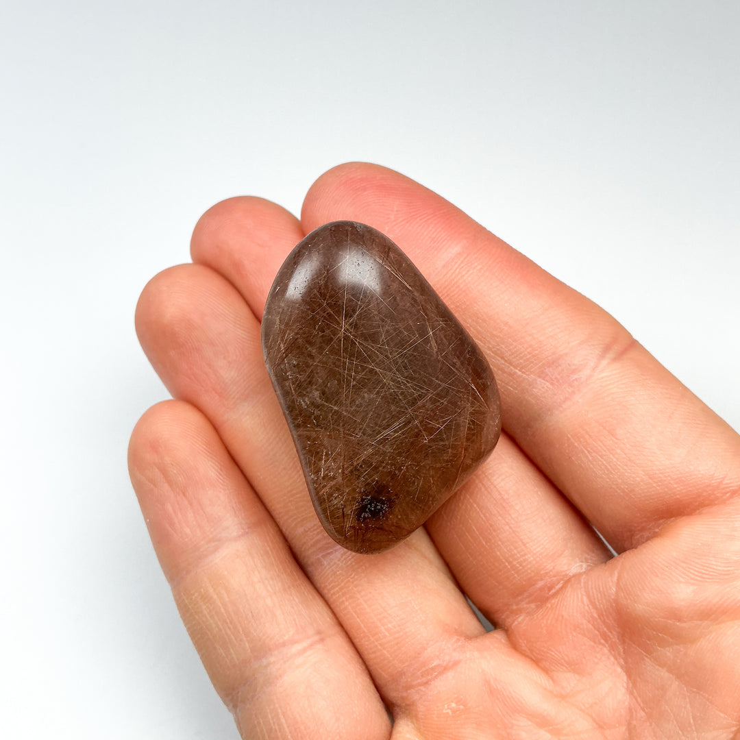 Rutilated Quartz Tumble-Rocks and Gems Canada