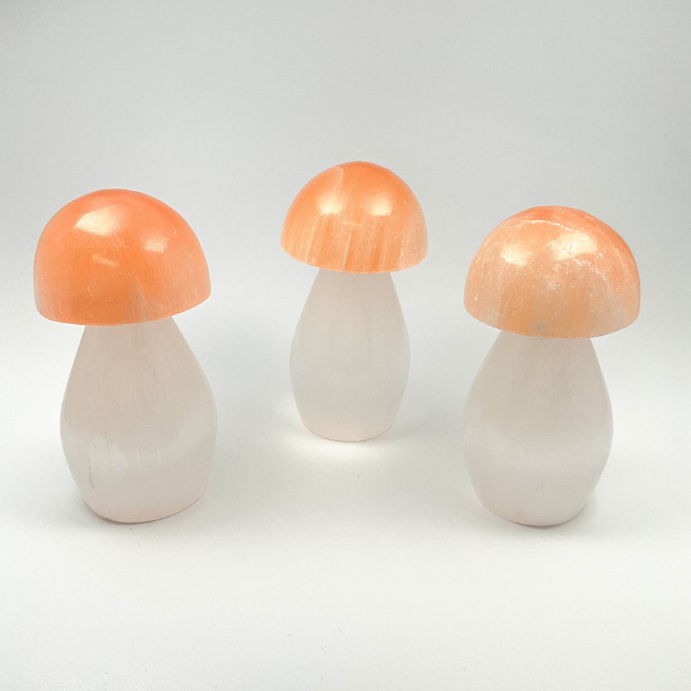 Selenite Mushroom-Rocks and Gems Canada