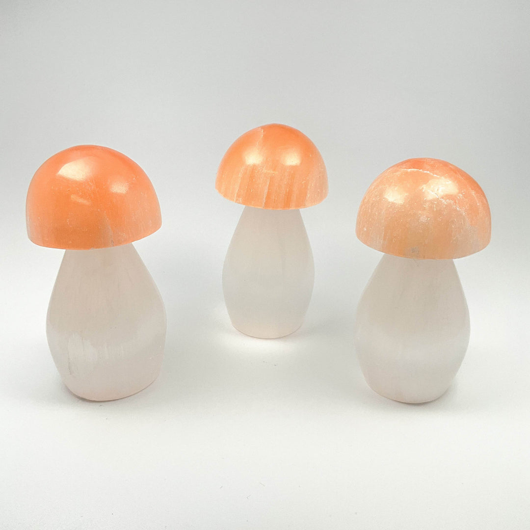 Selenite Mushroom-Rocks and Gems Canada
