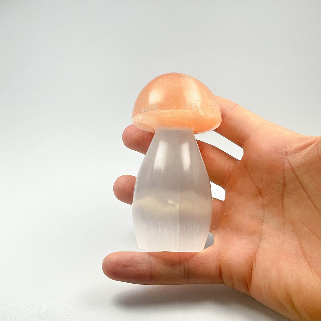 Selenite Mushroom-Rocks and Gems Canada