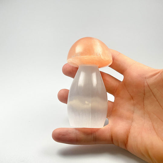 Selenite Mushroom-Rocks and Gems Canada