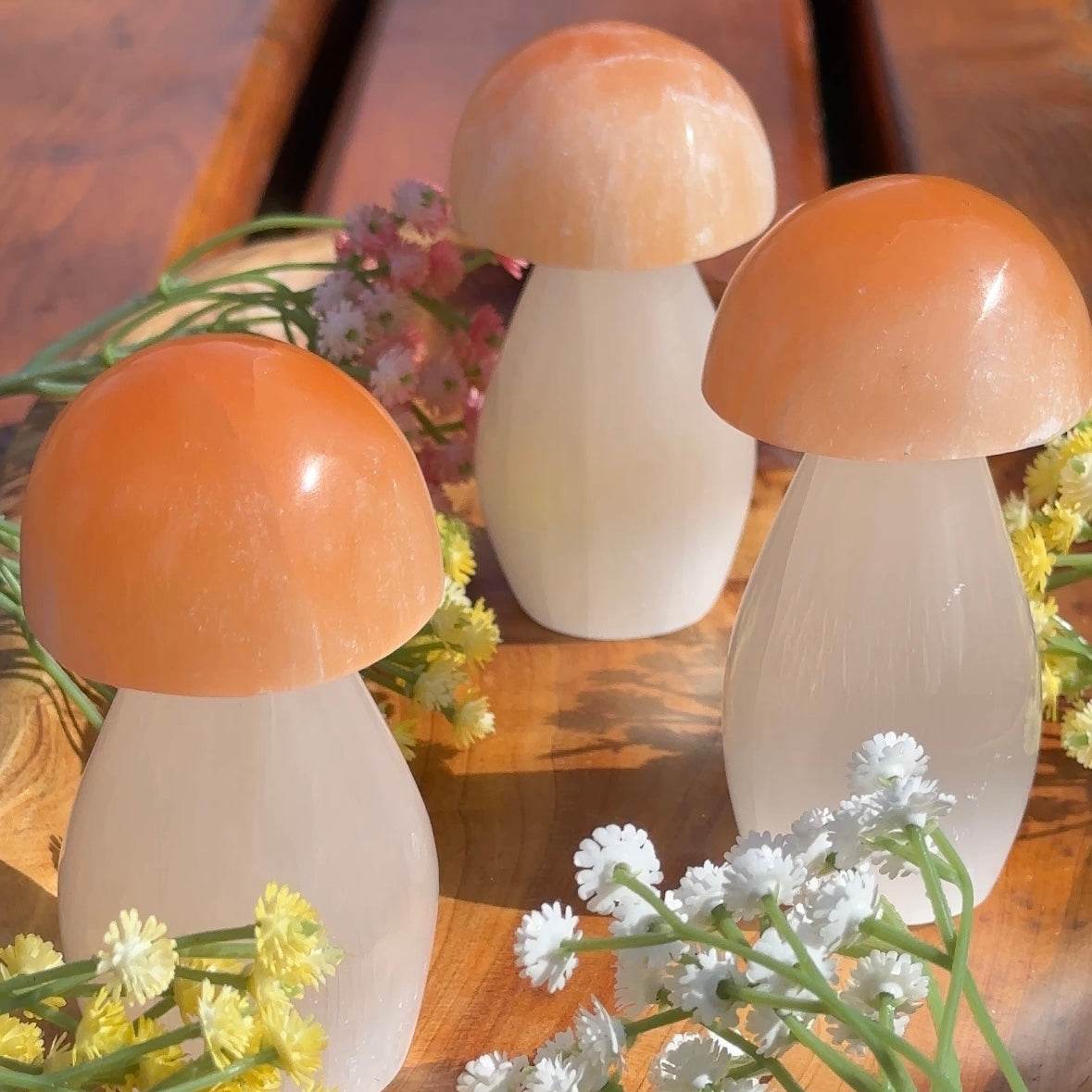 Selenite Mushroom-Rocks and Gems Canada