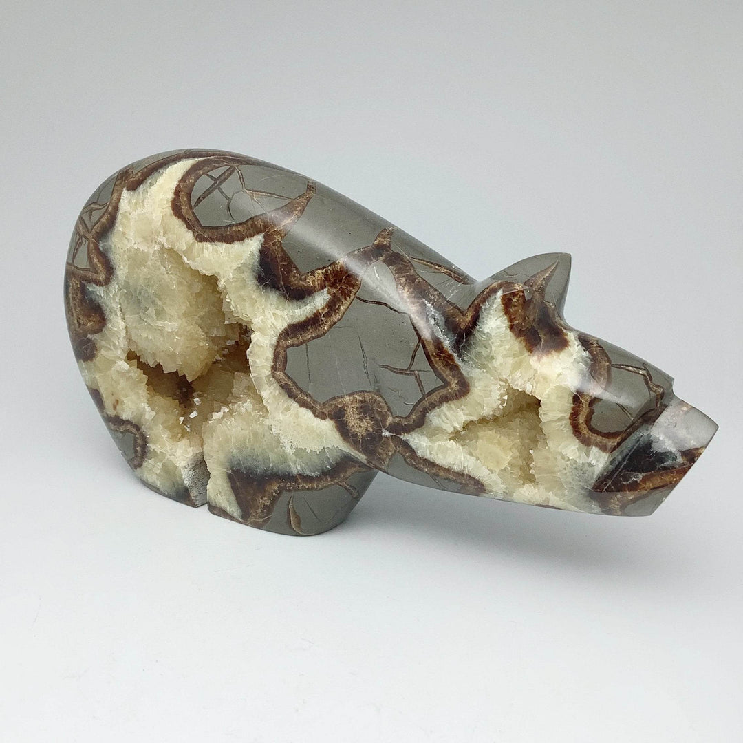 Septarian Bear Carving-Rocks and Gems Canada