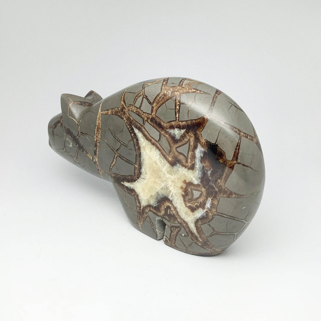 Septarian Bear Carving-Rocks and Gems Canada