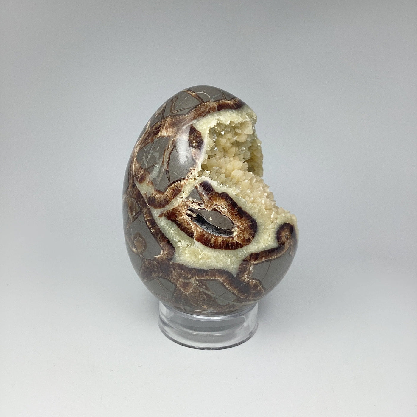 Septarian Egg