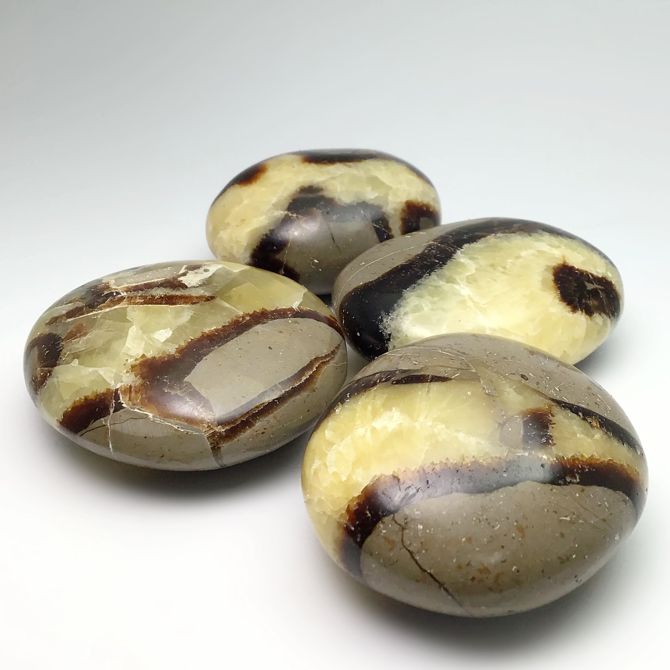 Septarian Tumble - Rocks and Gems Canada