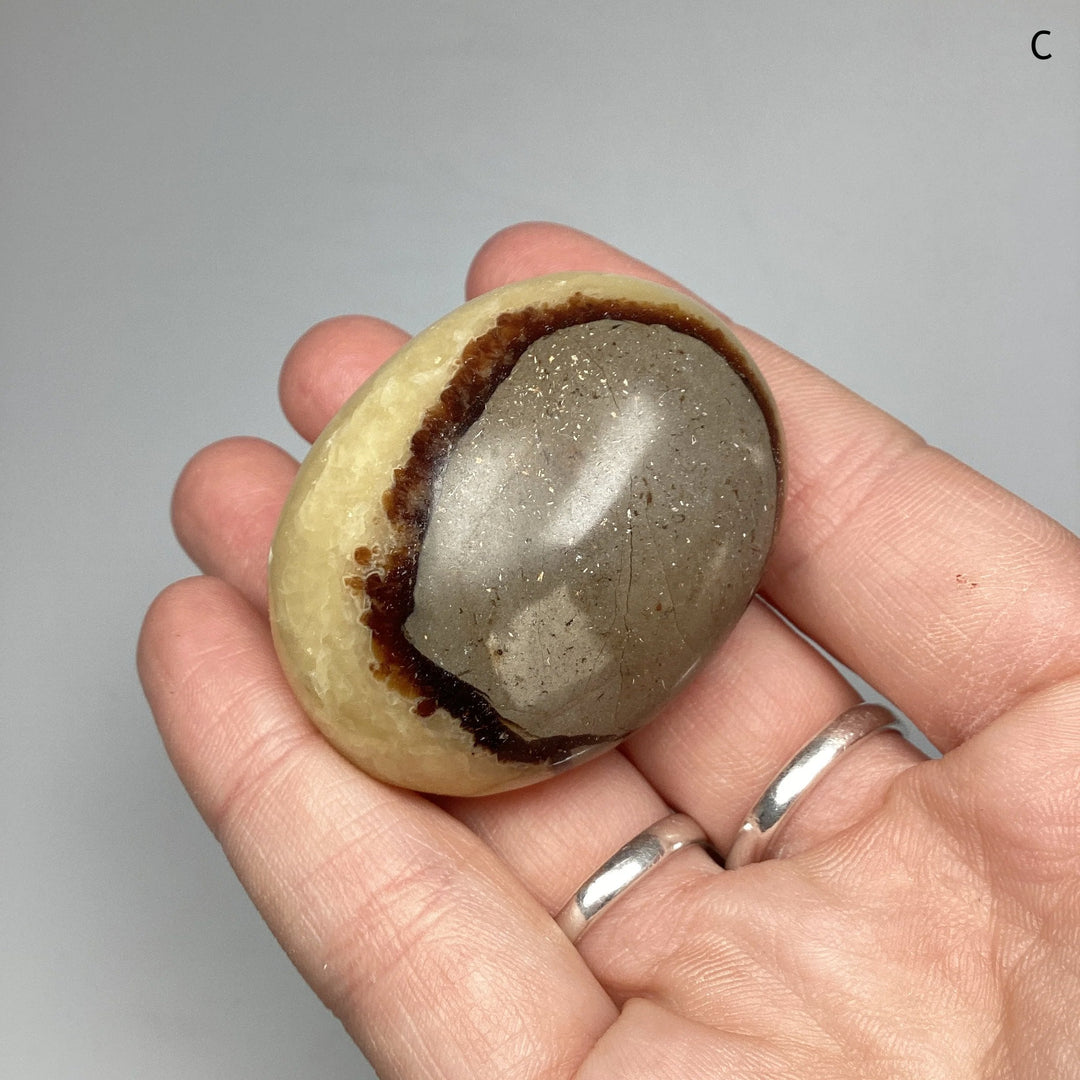 Septarian Tumble - Rocks and Gems Canada