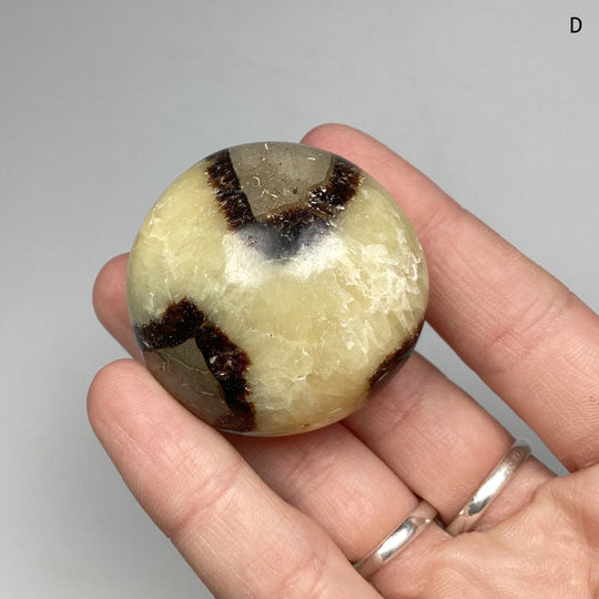 Septarian Tumble - Rocks and Gems Canada