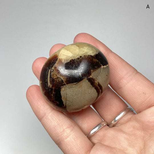 Septarian Tumble - Rocks and Gems Canada