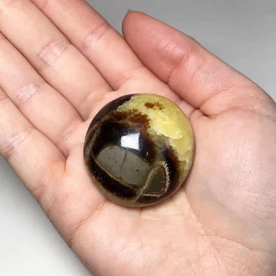 Septarian Tumble - Rocks and Gems Canada